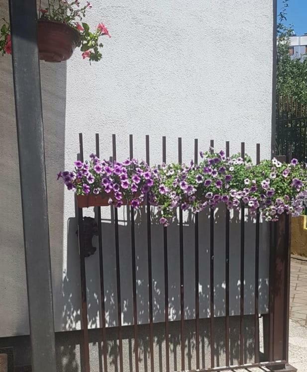 Sun Garden Sarajevo Aparthotel Εξωτερικό φωτογραφία
